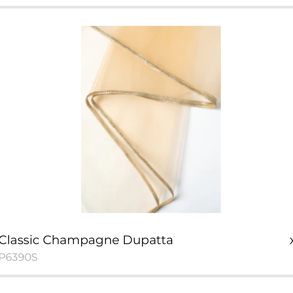 The Saree Room Classic Champagne Dupatta